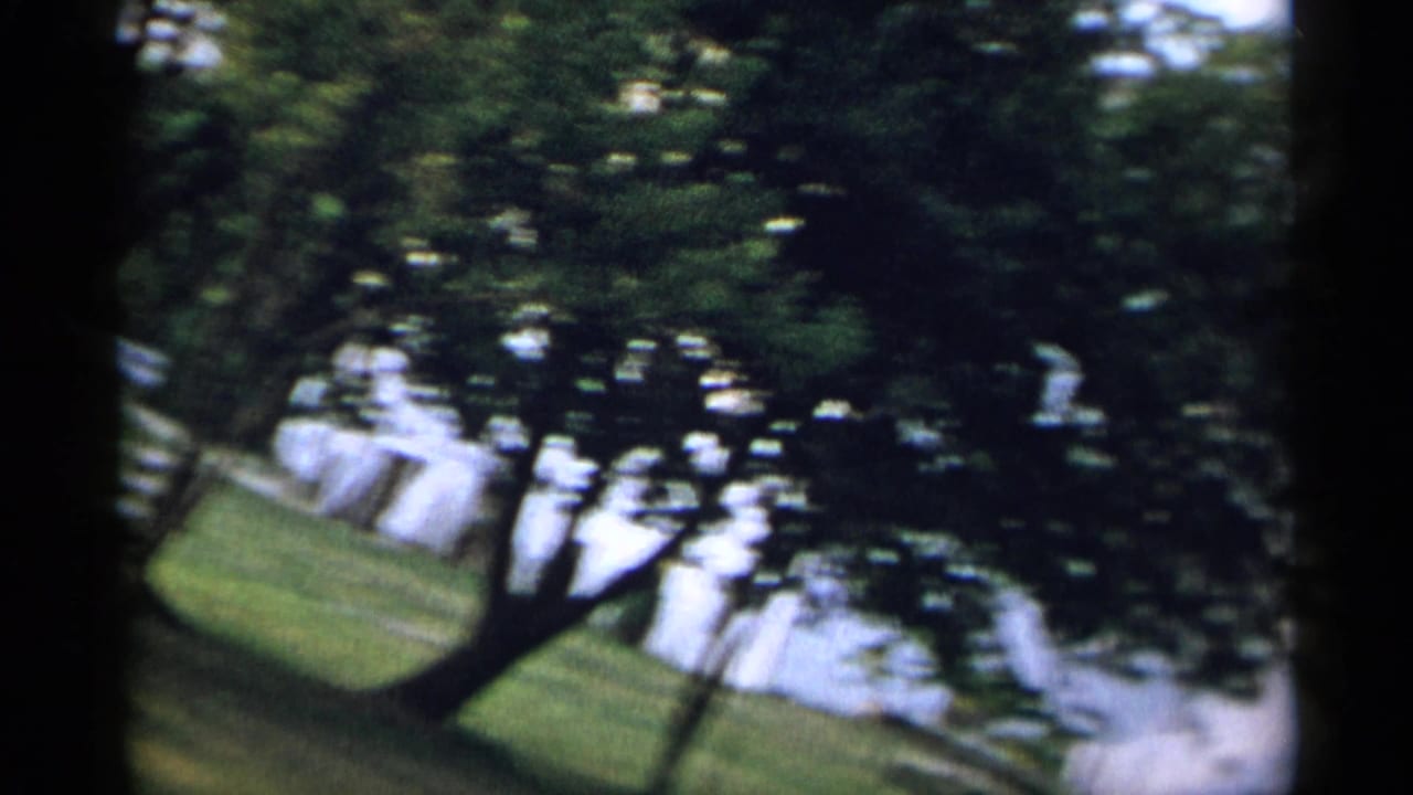 The camera swings away after the slide action, showing blurred trees, lawn, and part of the metal slide in the outdoor setting.