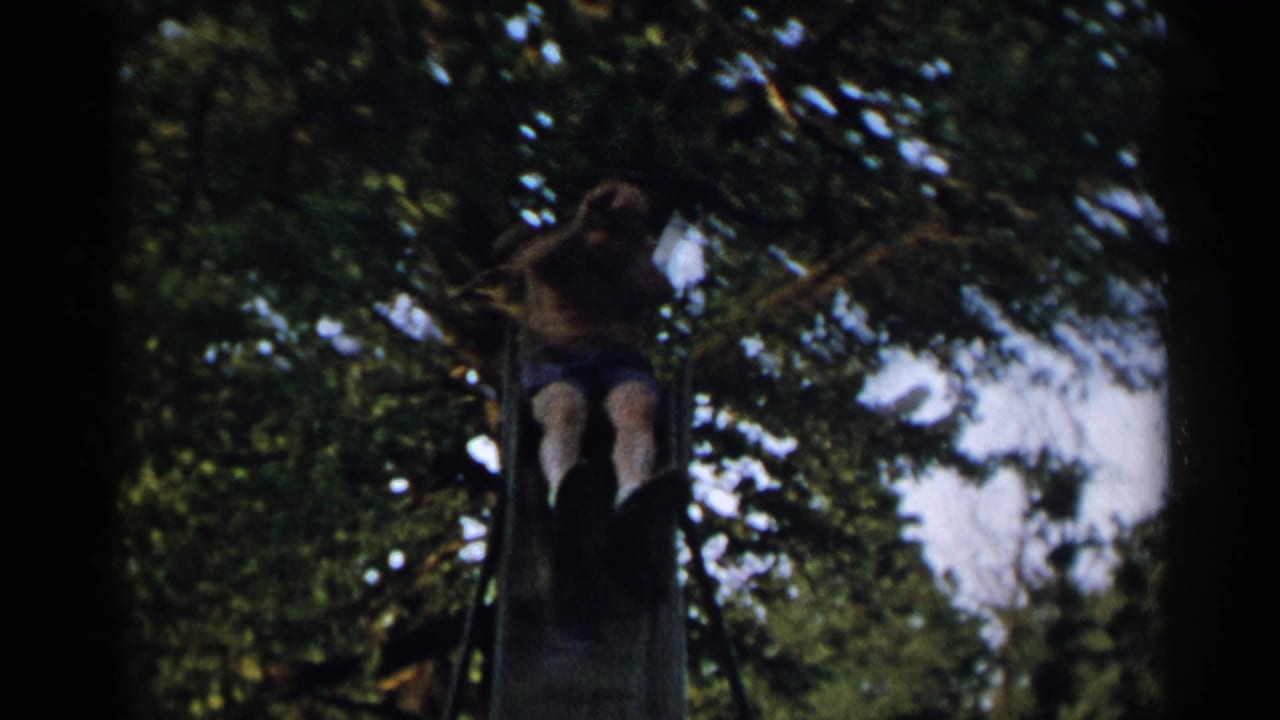 Shirtless man at the top of a metal slide under trees.