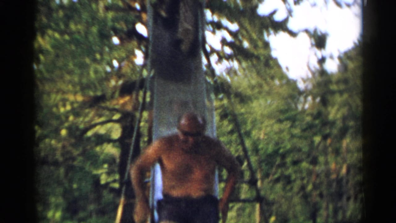The man reaches the lower part of the slide, partially blurred by motion and framed by green trees.