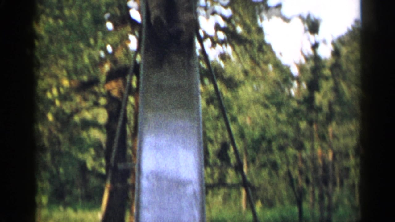 A tall metal slide stands among trees in a wooded New York outdoor setting, filmed on 8mm home-movie stock.
