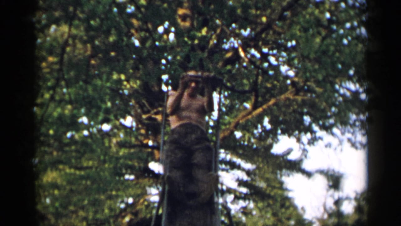 Shirtless man with glasses sits near the top of a metal slide among trees.