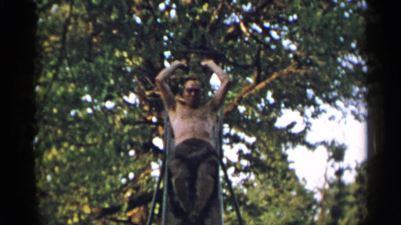 The adult man is midway down the metal slide, his face visible as trees fill the background.