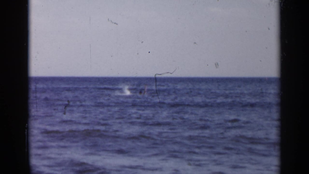 1954 New York 8mm frame showing open ocean and a distant white splash where a marine animal appears to surface.