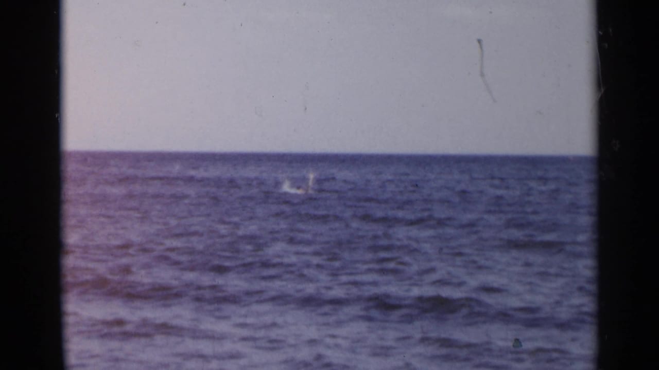 1954 New York 8mm frame with two faint offshore splashes against a blue sea and clear sky.
