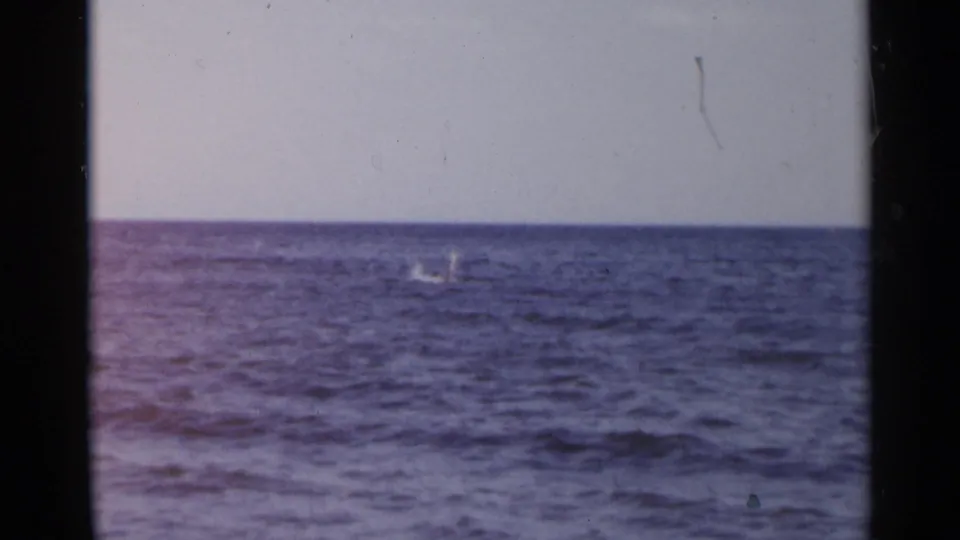 1954 New York 8mm frame with two faint offshore splashes against a blue sea and clear sky.