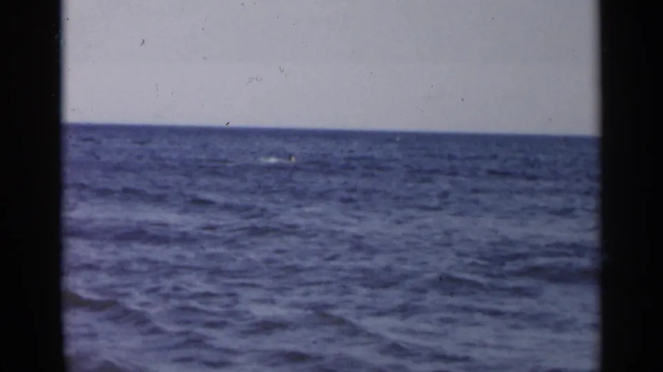 1954 New York 8mm frame showing open sea with a small distant disturbance that may be the marine animal surfacing.