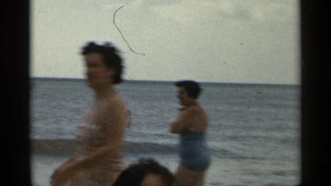 Adult women in bathing suits stand and move in shallow surf beside the ocean horizon.