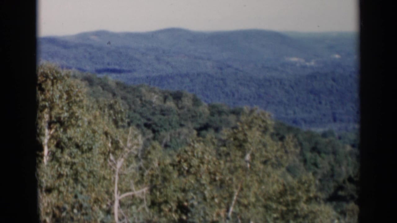 1955 Lake George landscape frame with leafy foreground trees, rolling forest, and distant blue hills under a washed sky.