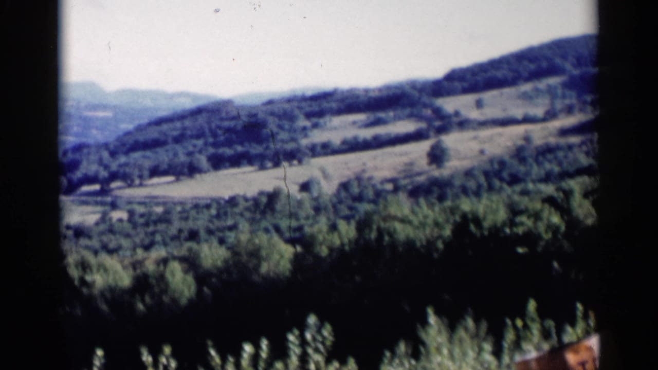 Lake George, New York landscape with forested ridges, patchwork fields, and dense foreground greenery on 8mm film.