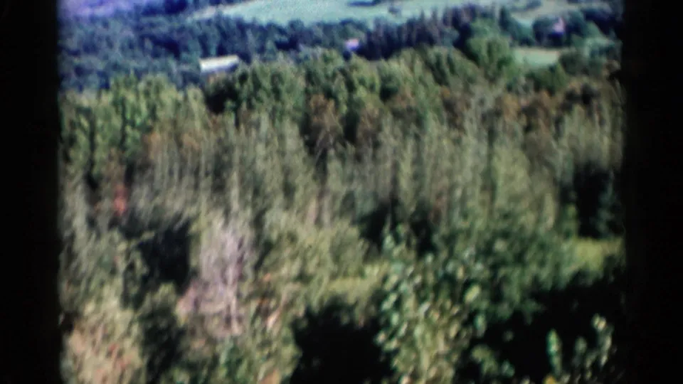 Soft 8mm view of Lake George-area treetops, distant wooded hills, and a few small structures partly obscured by foliage.