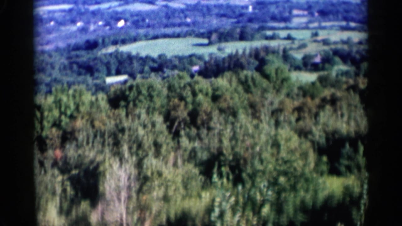 1955 Lake George area home-movie frame showing green forest in the foreground and distant fields with scattered houses.