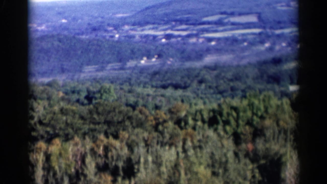 Aerial view over dense forest with distant fields and small structures beyond the trees.