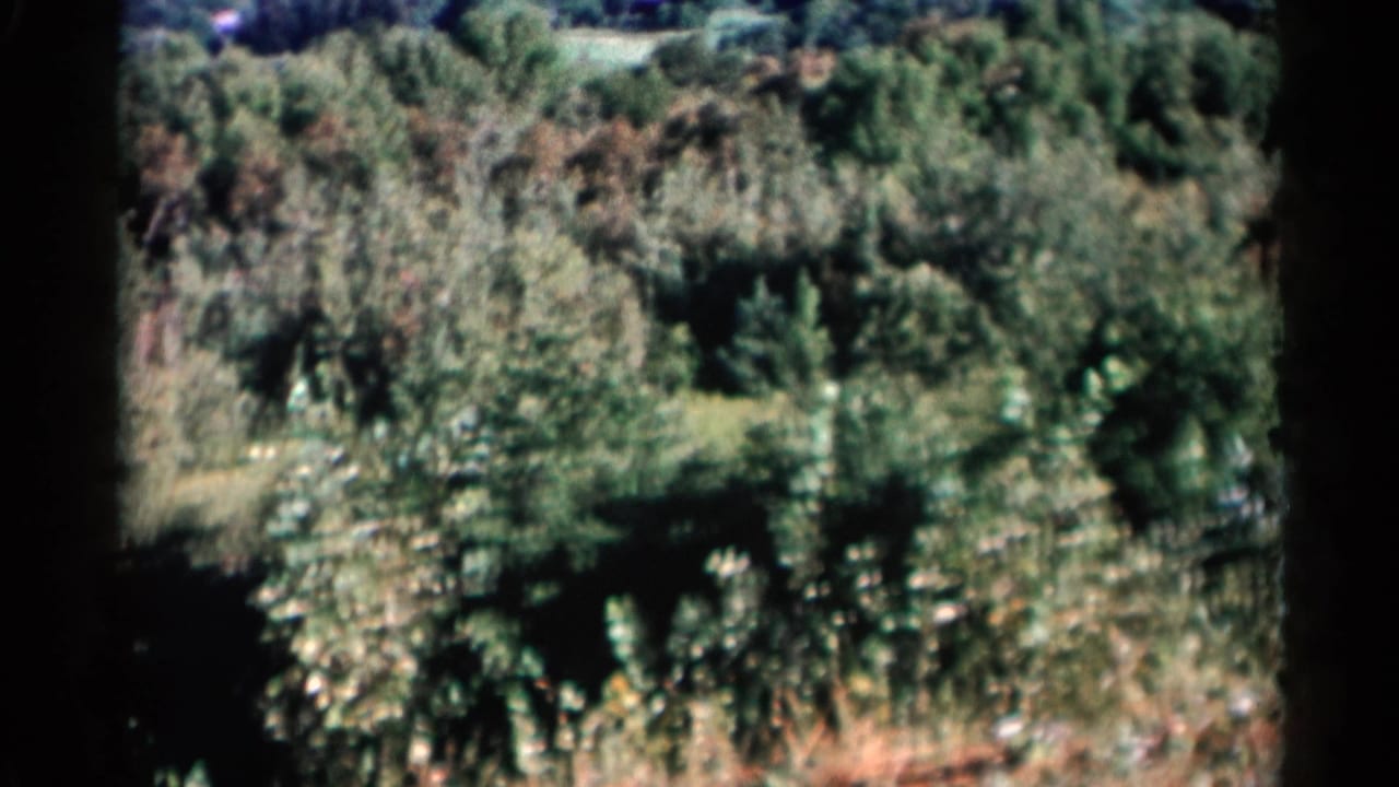 Lake George, New York home-movie frame showing a wooded hillside in soft 1950s 8mm color.