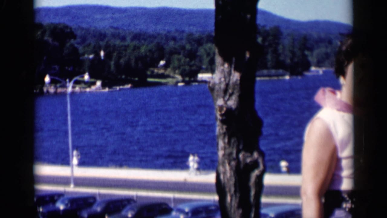 Adult woman near a tree and railing overlooking Lake George, with blue water, wooded hills, walkway, and parked cars visible.