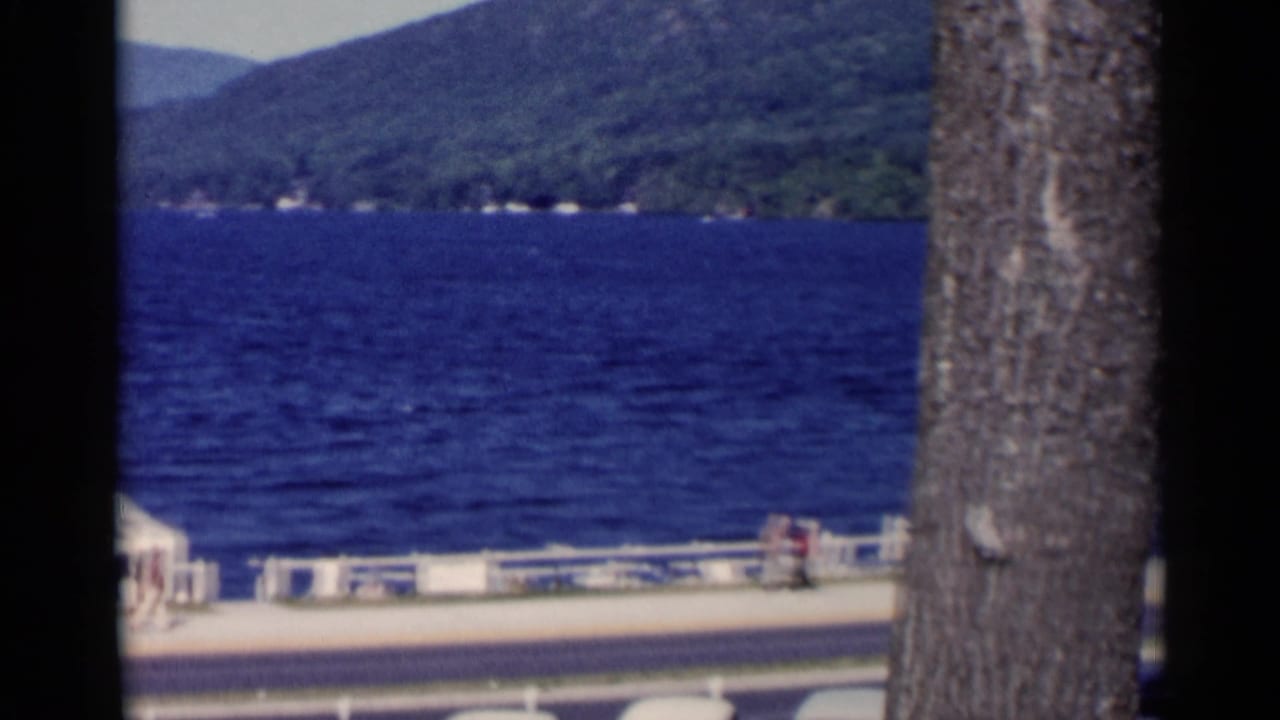 Lake water and wooded hills seen through tree trunks beside a promenade.