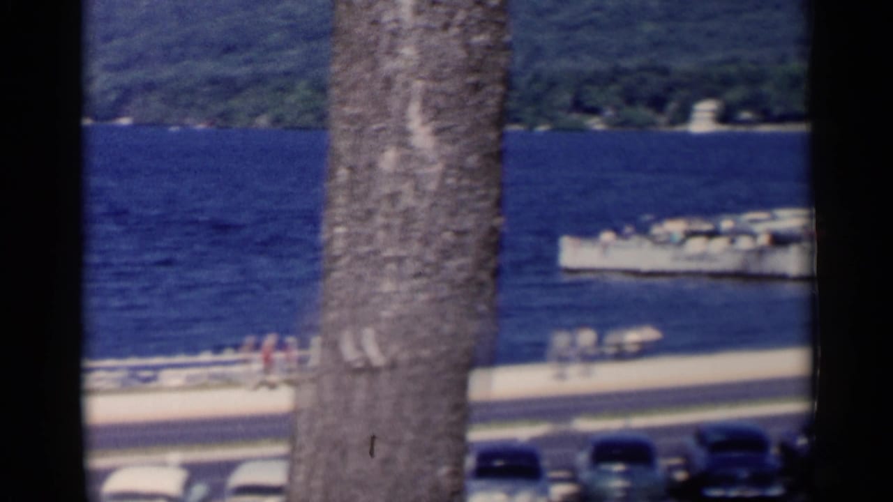 A 1955 Lake George waterfront view with tree trunks, deep blue water, parked cars, pedestrians, and a small boat near shore.