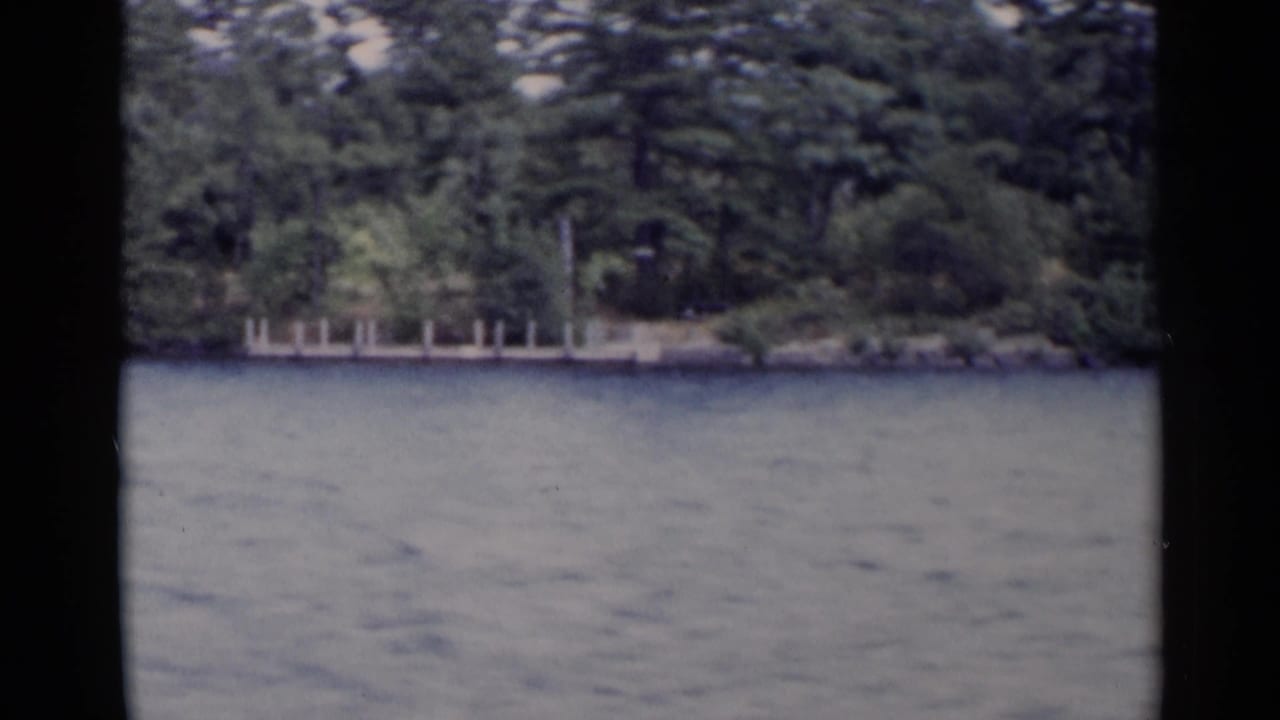 Forested lake shore with rippled water and pale wooden pier sections near the trees.
