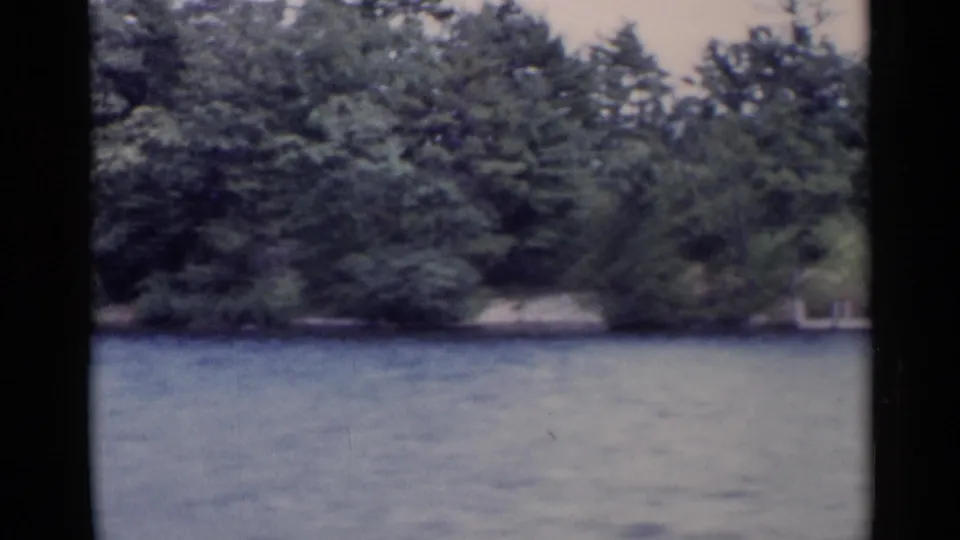 Lake George shoreline view from 1955 showing rippled water, dense mixed trees, and a small pale opening near the bank.