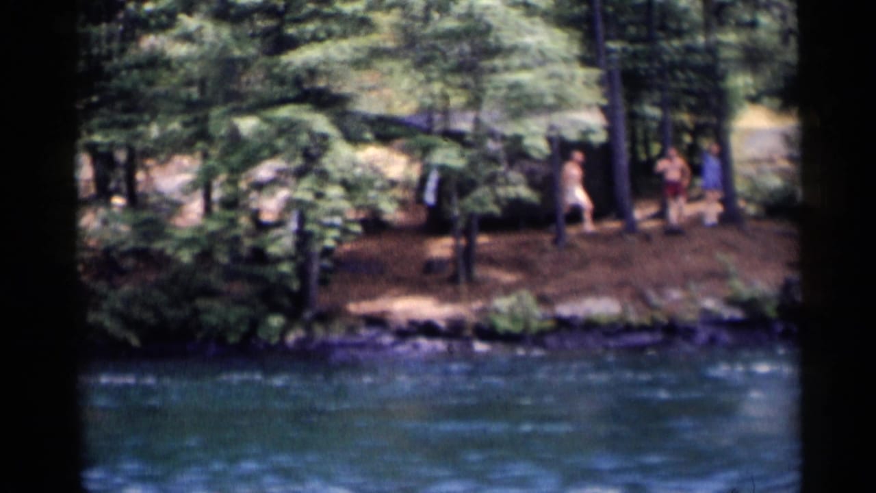 People stand on a wooded lakeshore across blue water.