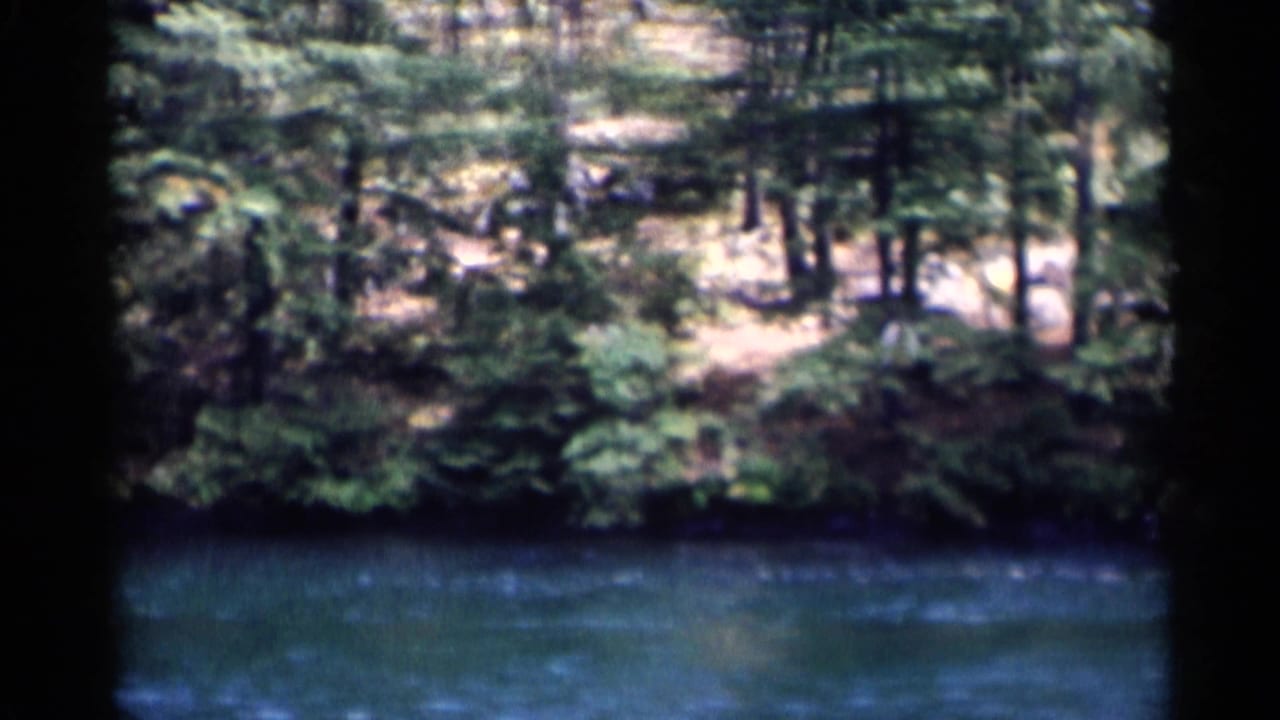 Wooded shoreline and blue water with no clear people visible.