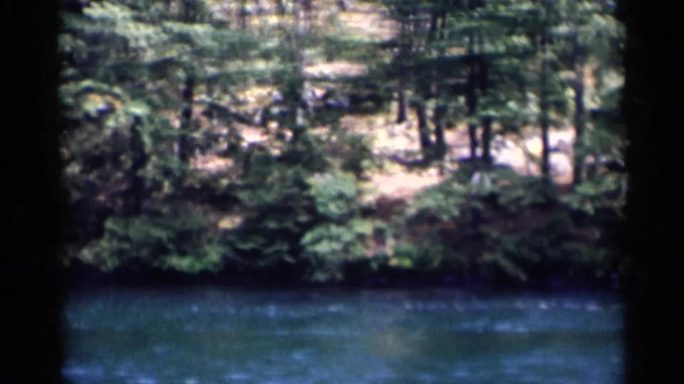 Lake George shoreline view with blue water, dense evergreens, and soft 8mm home-movie focus.