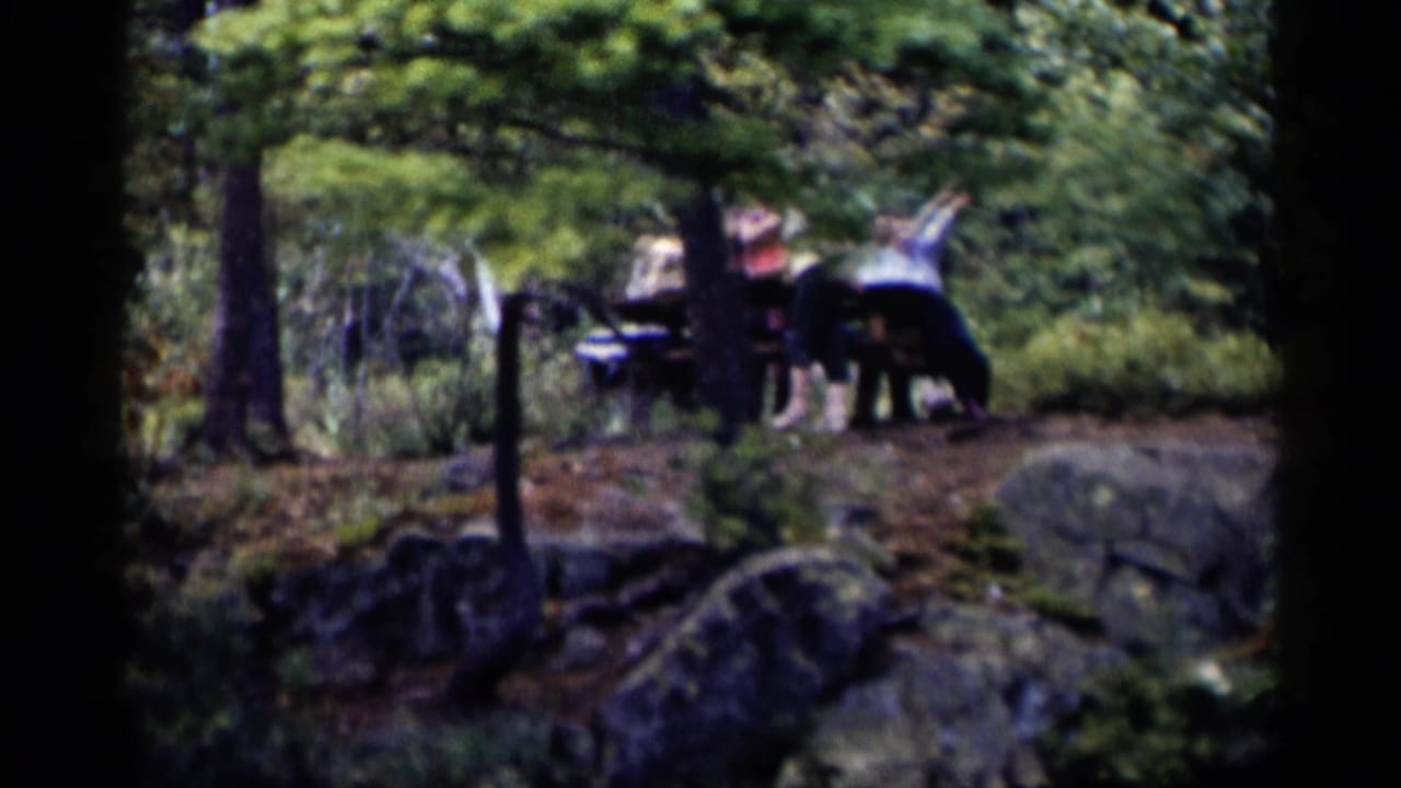 People gather near a picnic table in a wooded Lake George setting, filmed in soft 8mm color.