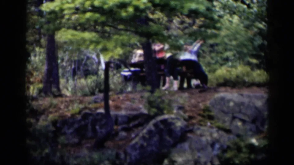 People gather near a picnic table in a wooded Lake George setting, filmed in soft 8mm color.