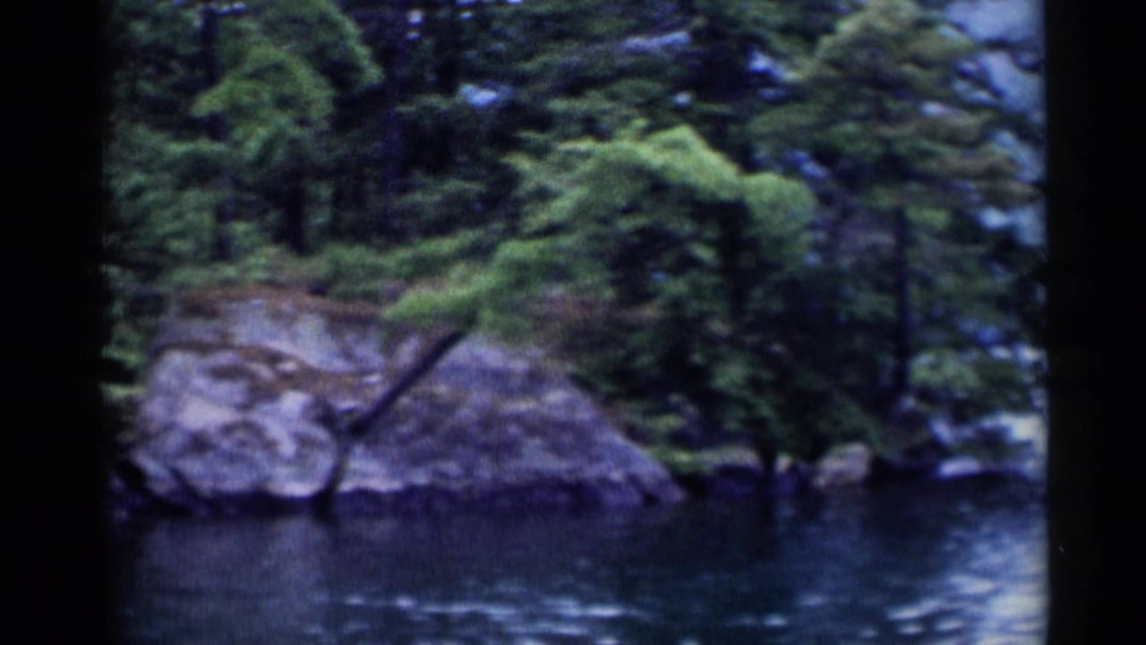 Lake George shoreline in 1955 home-movie footage, with trees, rocks, and calm water seen through soft 8mm framing.