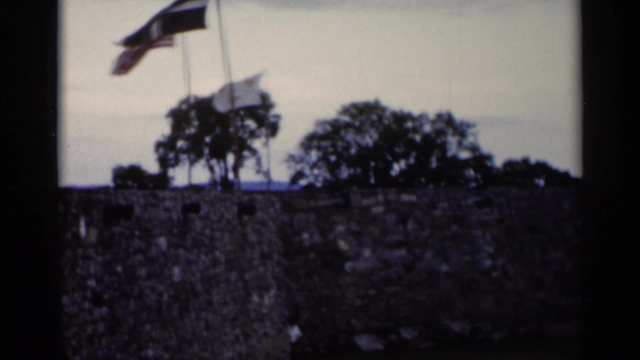 Two flags on poles above a rough stone wall with trees behind it.