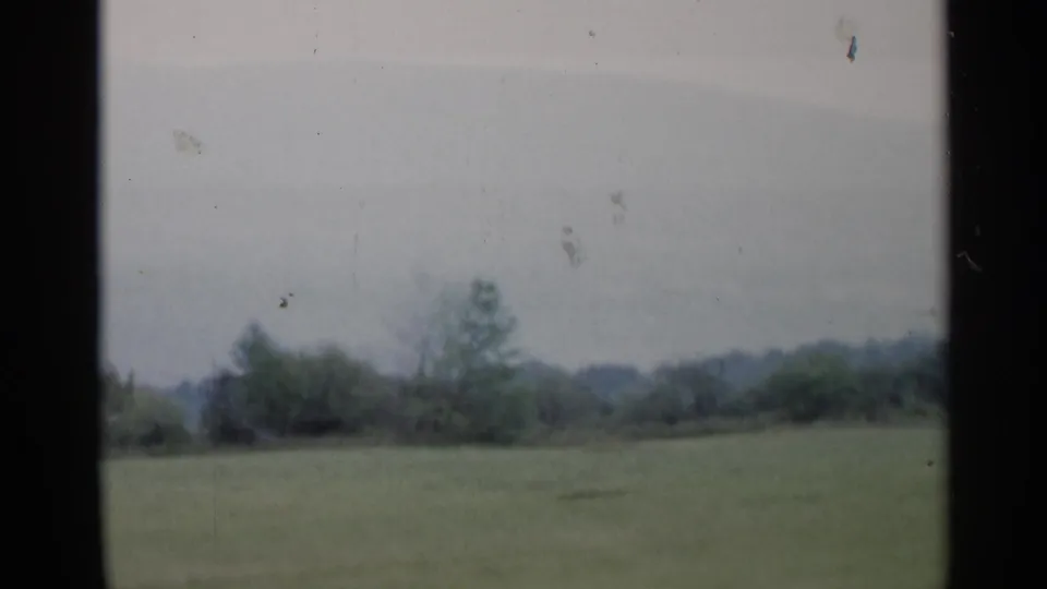 Soft 8mm frame of a rural Lake George field, low trees, and muted sky, with visible film wear and gentle motion blur.