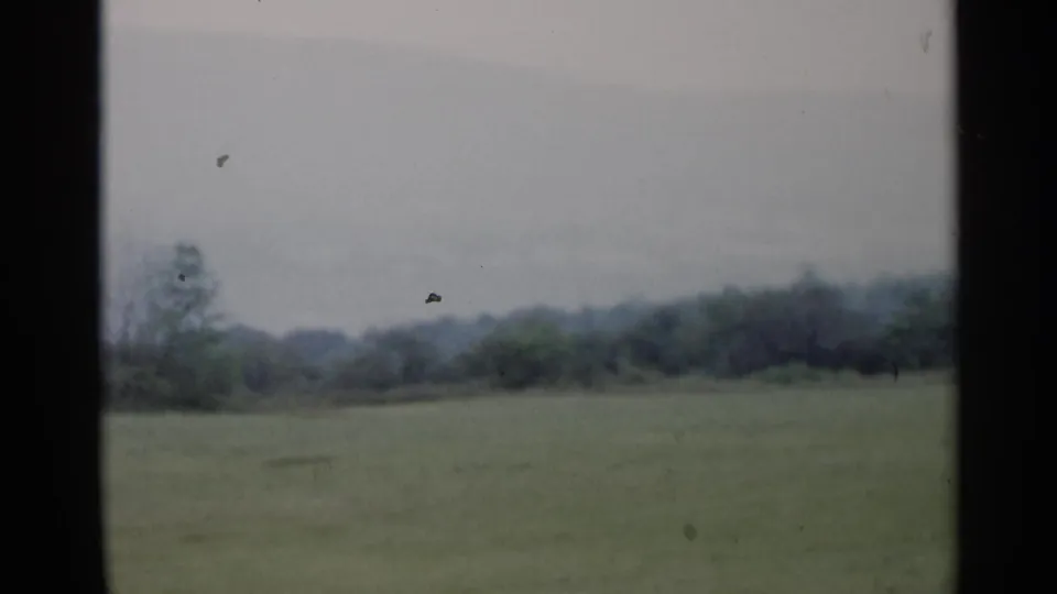 1955 Lake George 8mm frame showing a broad grassy field, distant trees, low hills, and an overcast gray sky.