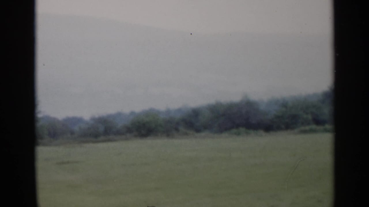 1955 Lake George home-movie frame showing a broad grassy field, distant tree line, and soft hazy hills.