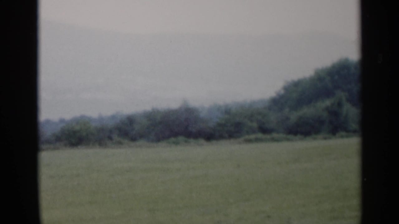 Open field and distant trees seen between dark vertical frame edges.