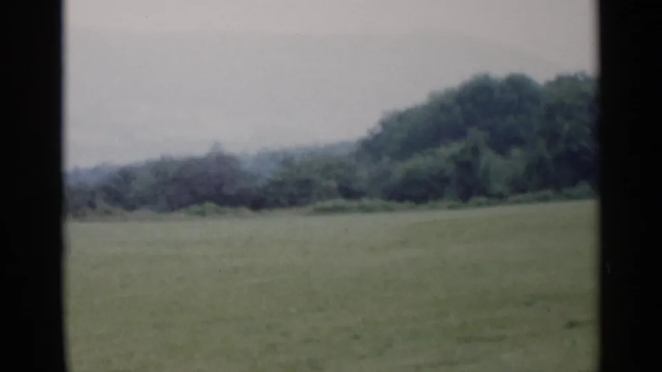 1955 Lake George landscape frame with open grass, dense trees, and a low wooded hill under cloudy light.