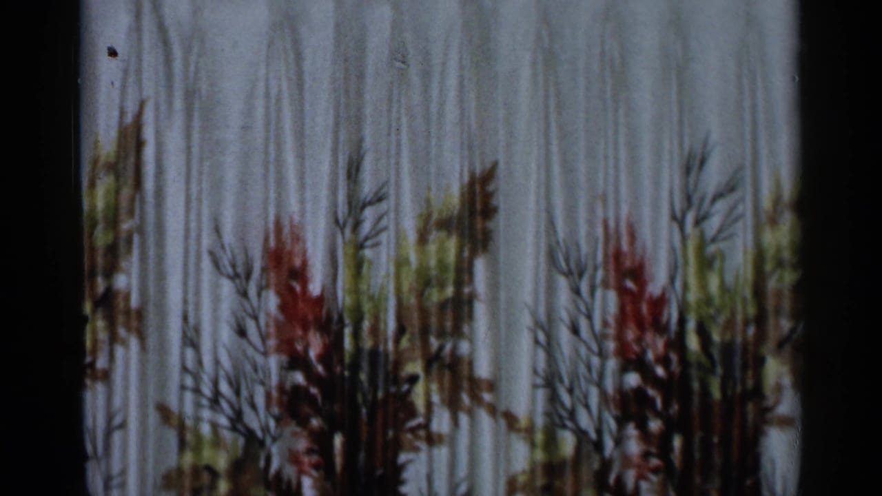 1955 8mm home-movie frame showing patterned curtains inside a New York City private residence.