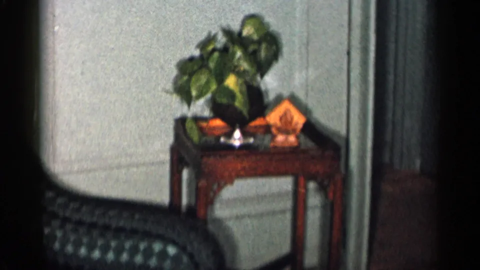 1955 New York City home interior showing a wood side table with a potted plant, small objects, paneled wall, and part of the chair.