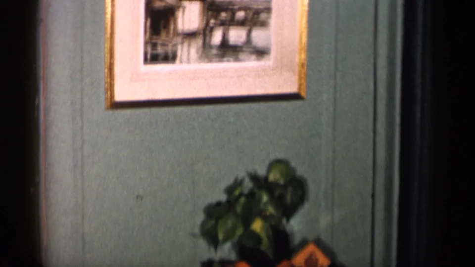 1955 New York City interior frame showing a framed picture on a green wall above a potted plant and wood side table.