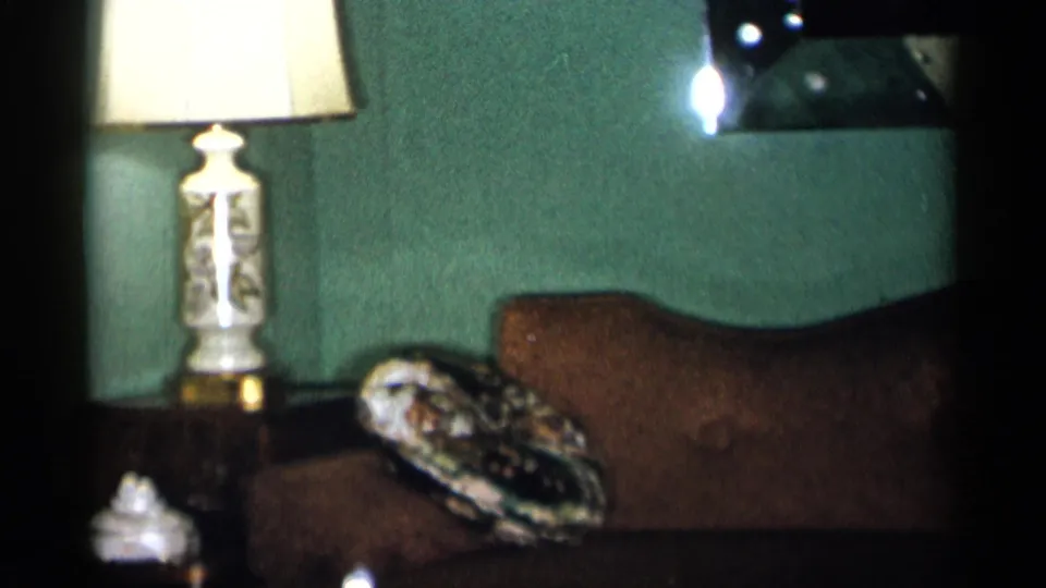 1955 New York City interior frame with a ceramic lamp beside a brown sofa and patterned pillow against a green wall.