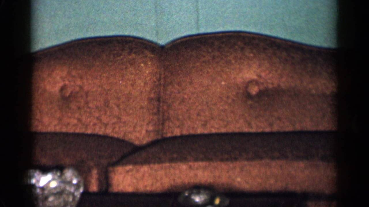 Brown upholstered sofa against a teal wall in a private living room.