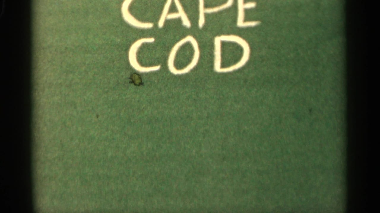 1956 home-movie title card reading Cape Cod, handwritten on green paper before the ferry footage begins.