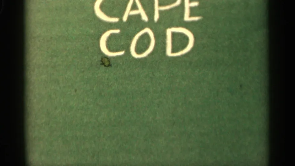 1956 home-movie title card reading Cape Cod, handwritten on green paper before the ferry footage begins.