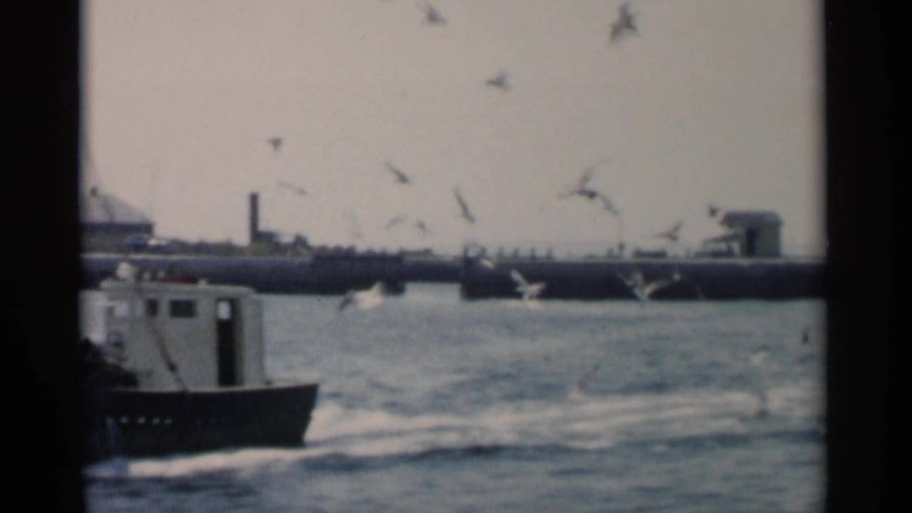 A small boat moves across choppy water near Cape Cod in 1956, with gulls overhead and a long pier or breakwater behind it.