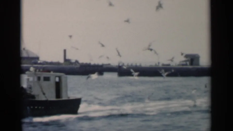 A small boat moves across choppy water near Cape Cod in 1956, with gulls overhead and a long pier or breakwater behind it.
