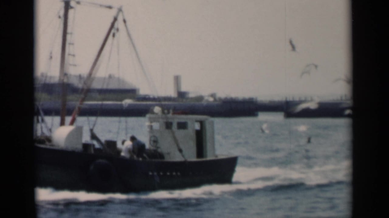 A dark fishing boat with several people aboard travels through Cape Cod waters, with gulls circling and harbor structures in the distance.