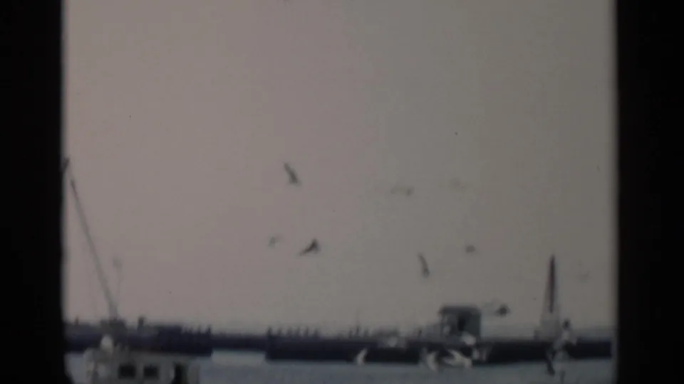 Gulls scatter across a pale sky over Cape Cod harbor water, with a distant pier or breakwater and partial boat or rigging details near the bottom of the frame.