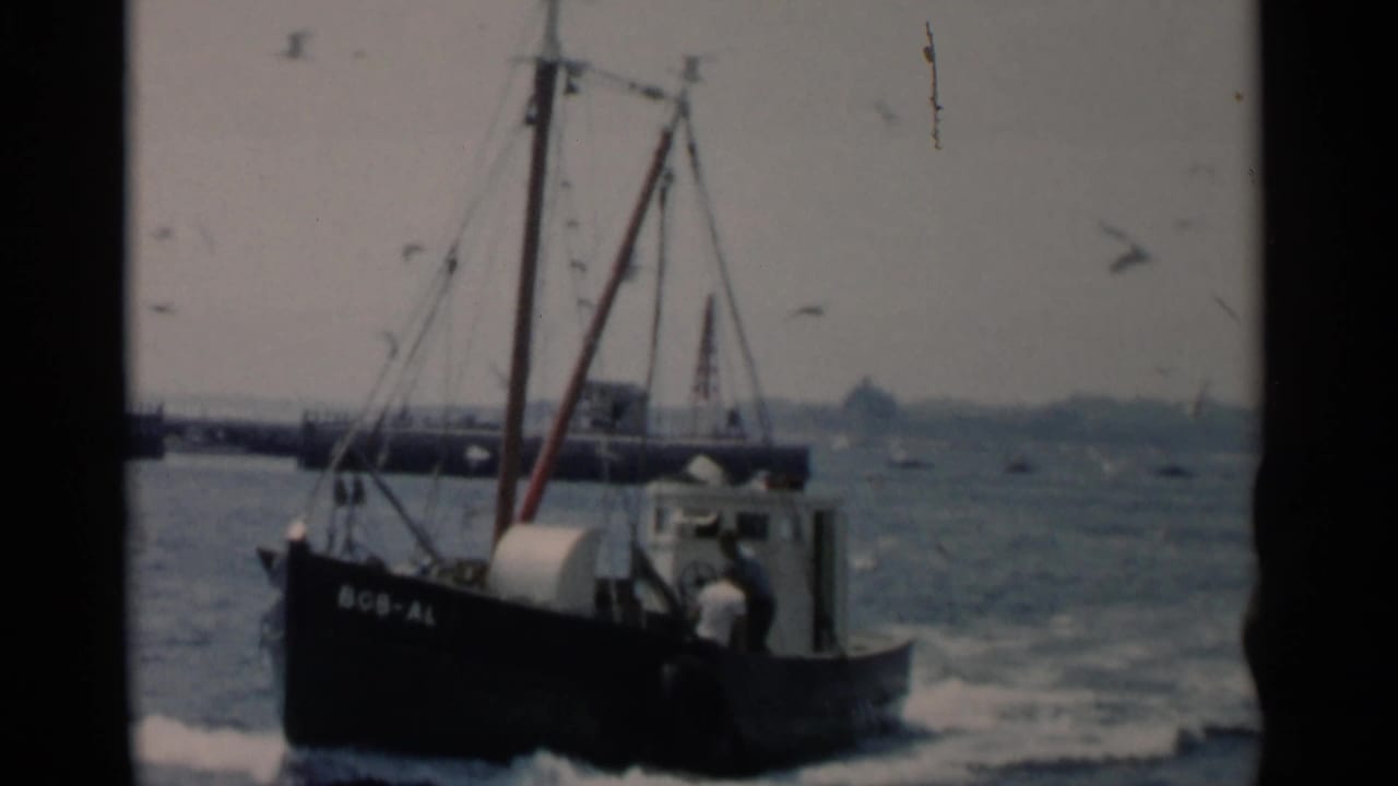 Dark fishing boat on bay water with gulls flying overhead.