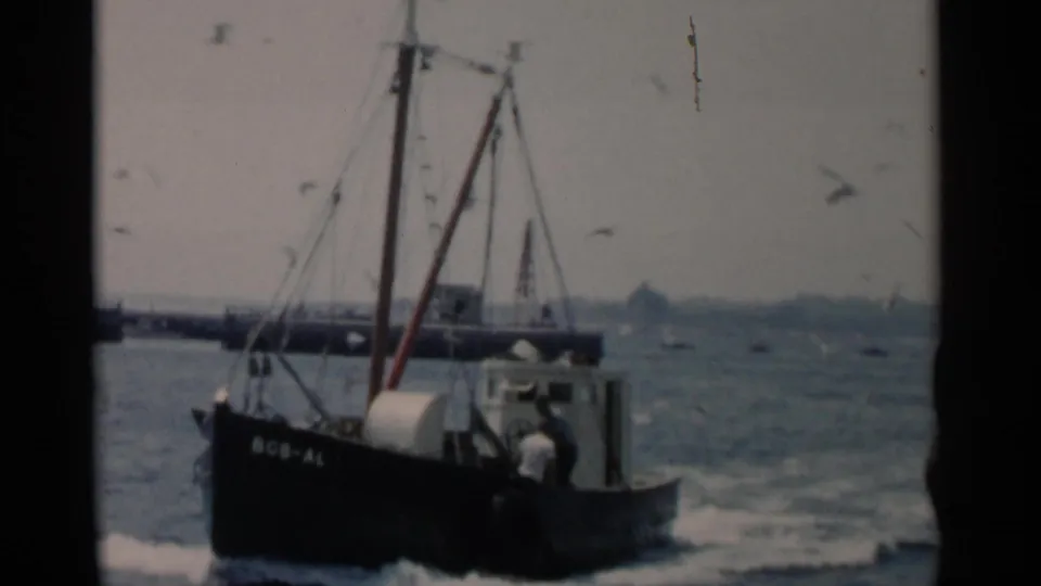 1956 Cape Cod 8mm frame showing a dark fishing boat on bay water with gulls crossing the sky and a distant shoreline behind it.
