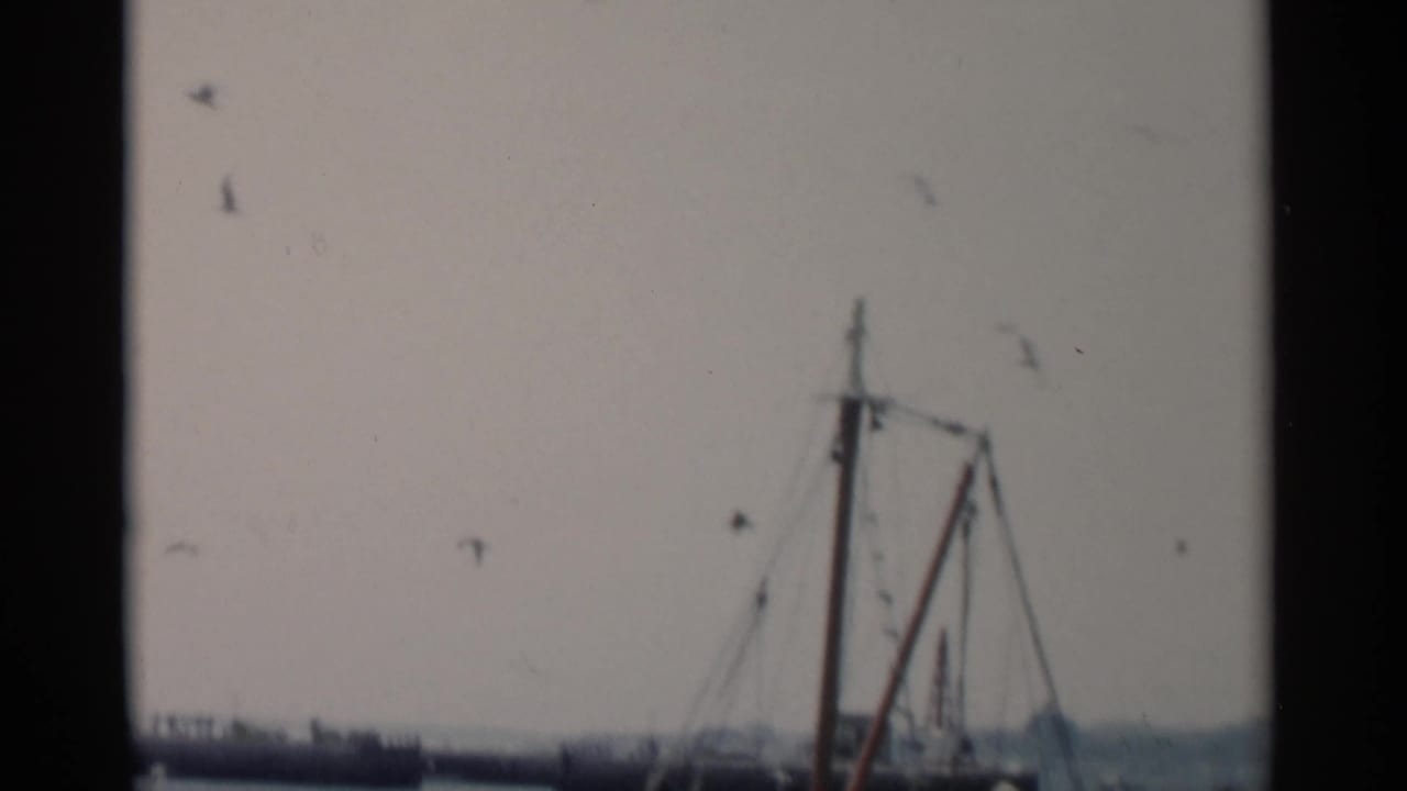 Boat mast and rigging near a distant pier with gulls in the sky.
