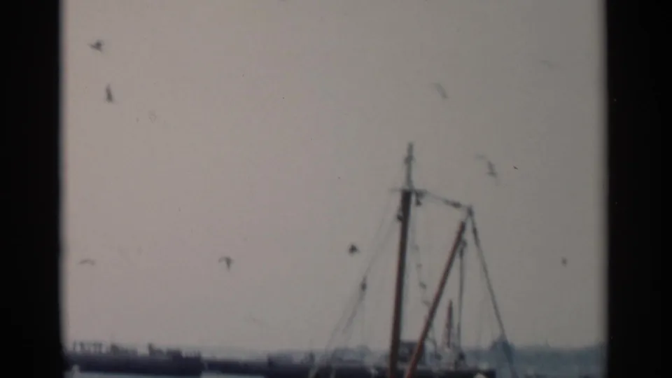 Cape Cod bay view from 1956 with part of a fishing boat, a low pier or breakwater, and gulls scattered across a pale sky.