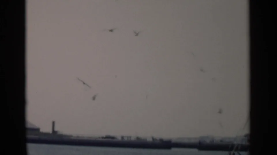 Cape Cod 8mm frame showing gulls in flight over a distant pier or breakwater along the bay, with soft exposure and muted color.